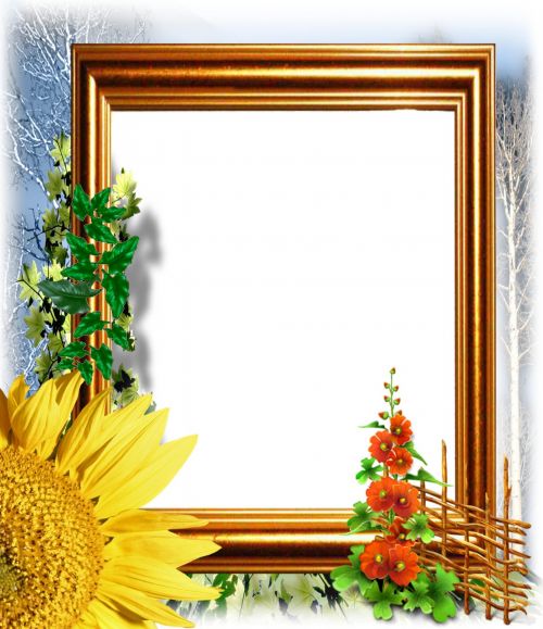 Picture Frame Collection 1