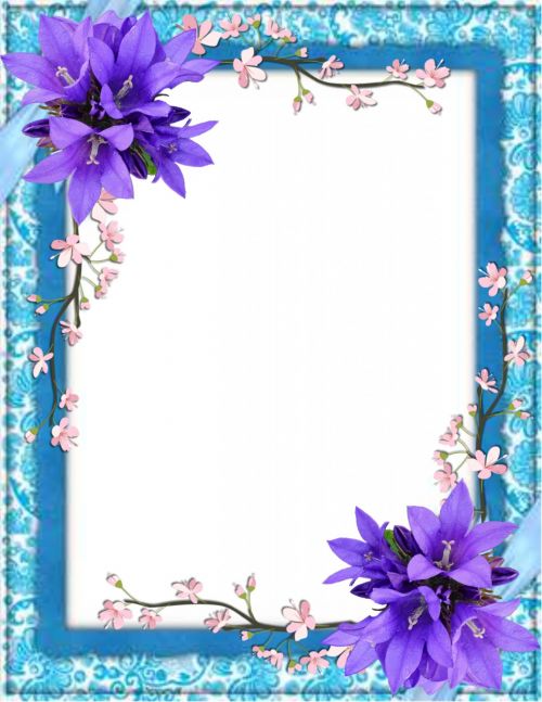 Picture Frame Collection 14