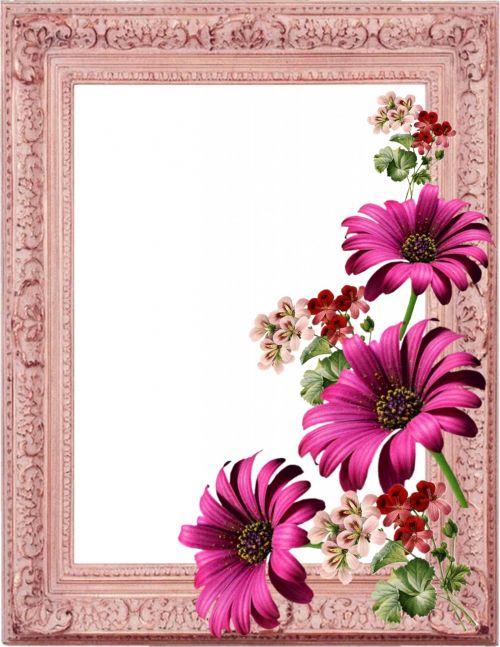 Picture Frame Collection 8
