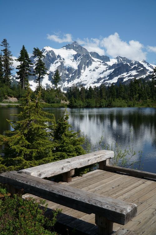 picture lake mountain reflection