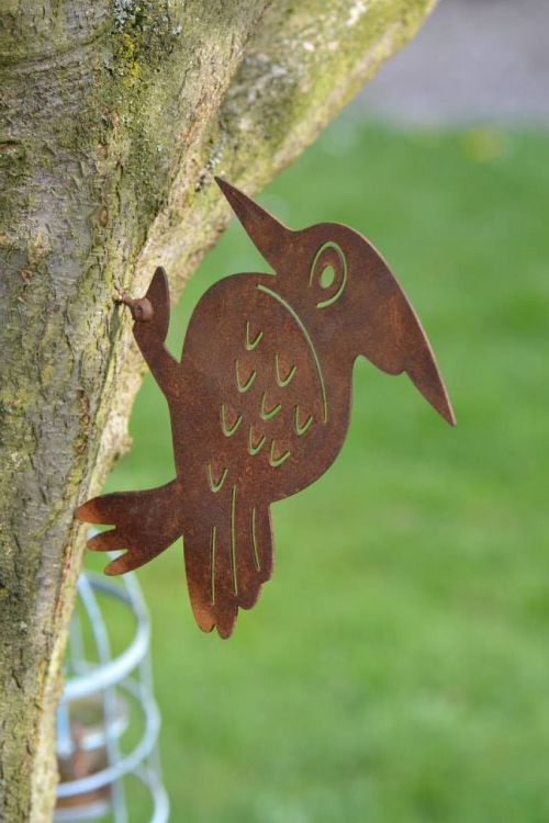 picvert tree bird
