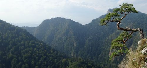 pieniny poland mountains