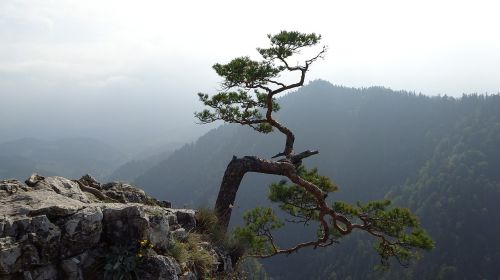 pieniny poland mountains