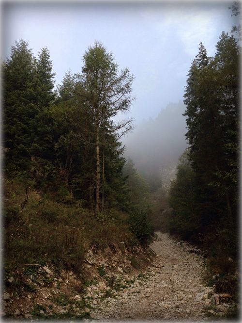 pieniny poland mountains