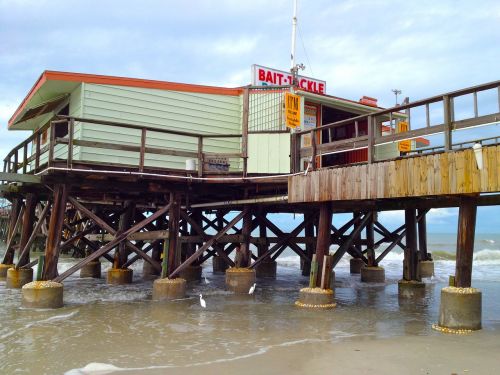 pier fishing bait