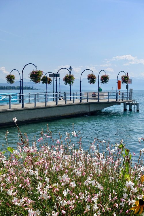 pier  jetty  flowers