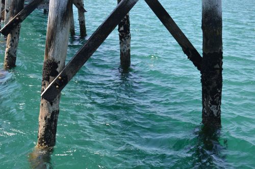 pier jetty sea