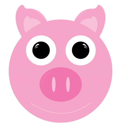 pig animal pork