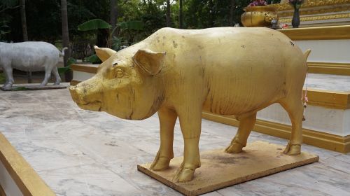 pig statue gold