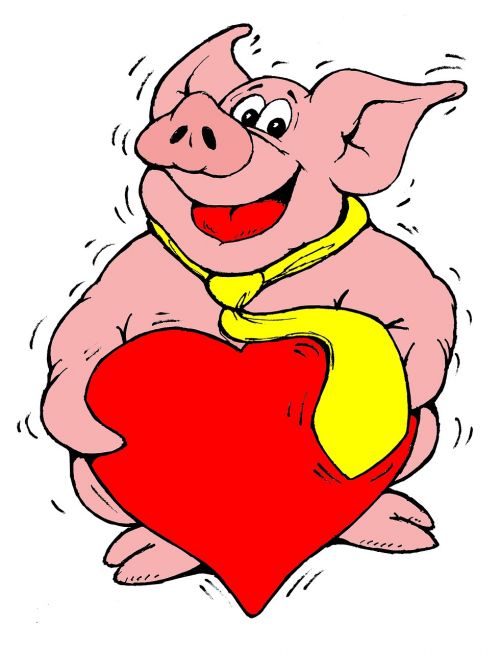 pig heart lucky pig
