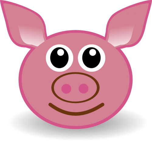 pig pork swine