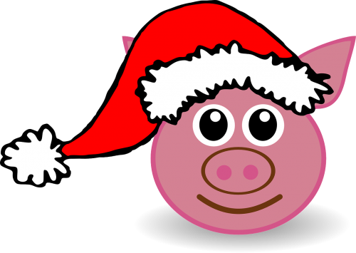 pig animal christmas