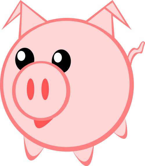 pig animal cute