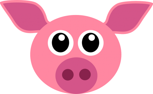 pig pink cute