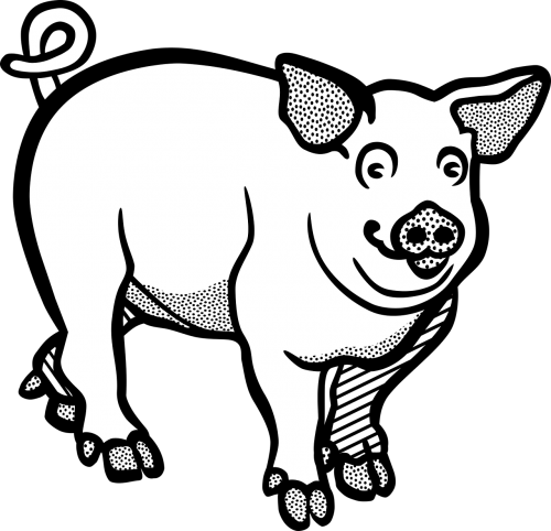 pig animal farm