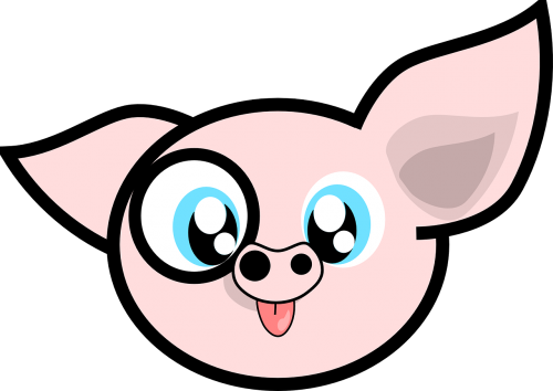 pig animal cartoon