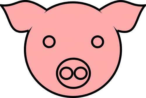 pig pink animal