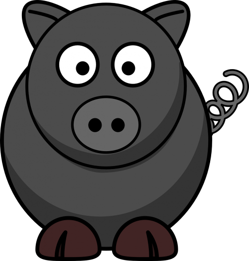 pig wild boar animal