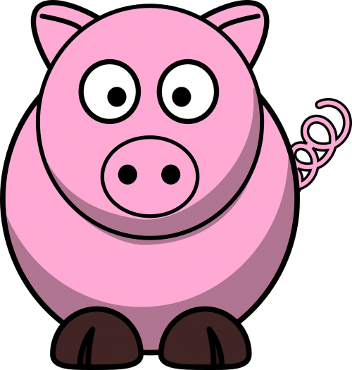 pig pink animal