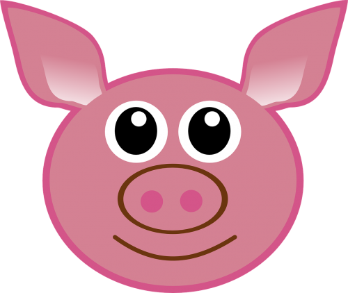 pig head cartoon
