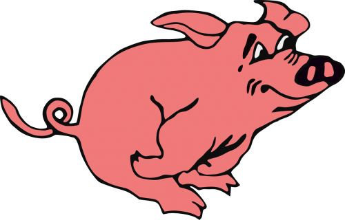 pig hog piggy