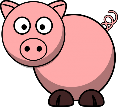pig animal farm