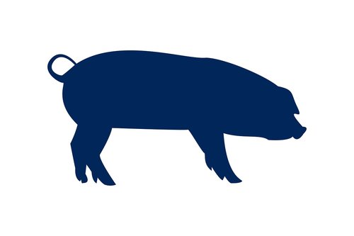 pig  animal  silhouette