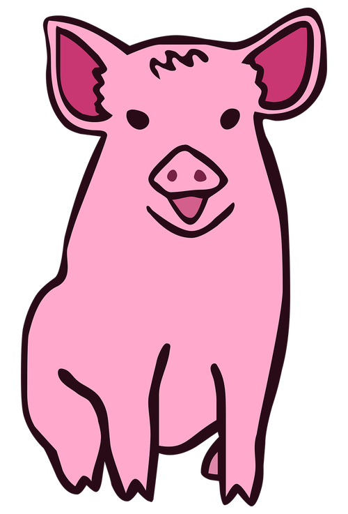 pig  cartoon  animal