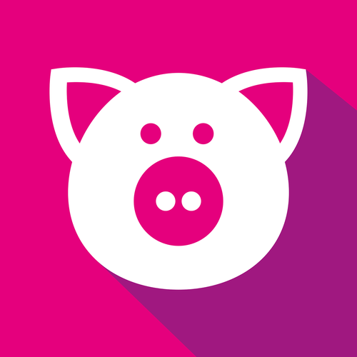 pig  vector  design