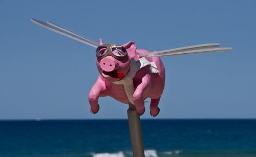 pig flying sculpture