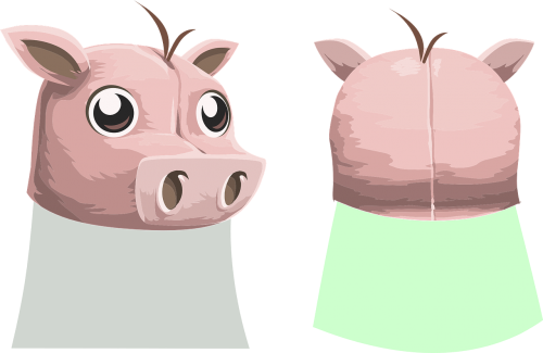 pig face animal
