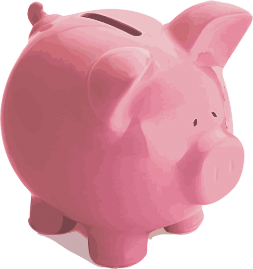 pig piggy bank pink