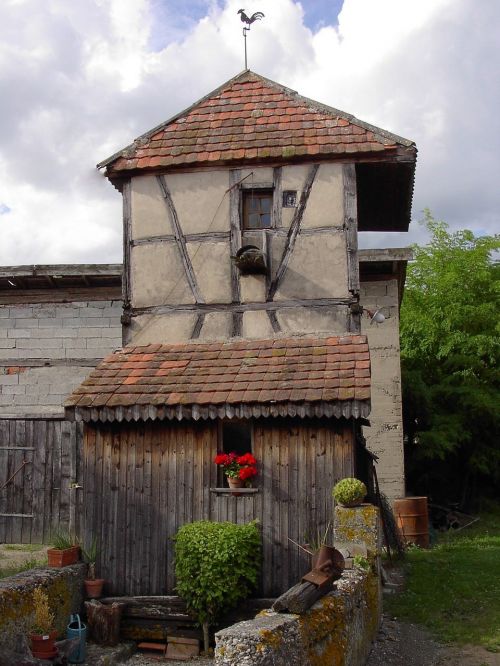 pigeon loft alsace france