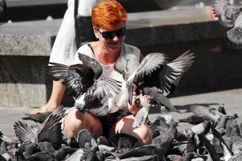 pigeons piazza woman