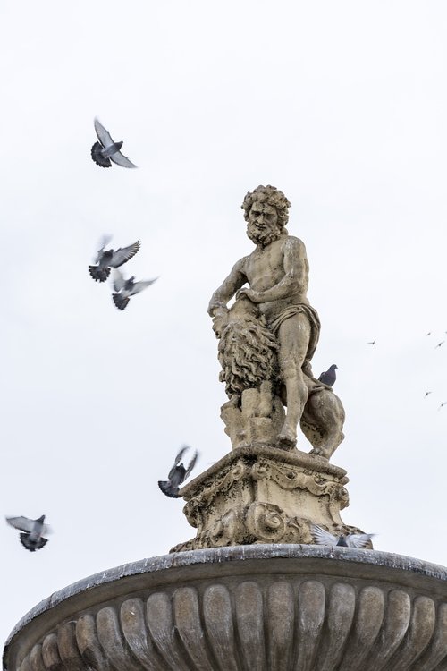pigeons  statue  simple