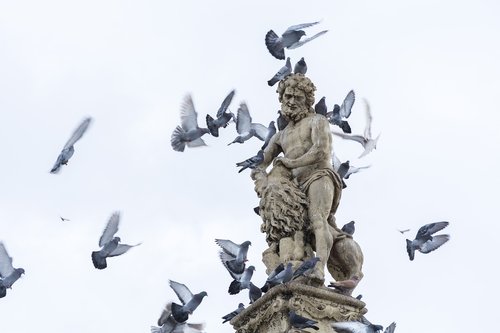 pigeons  statue  simple