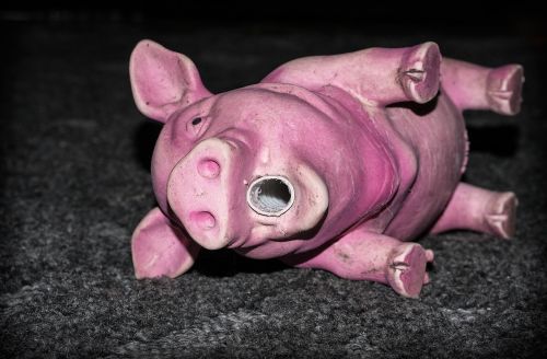 piggy the pig toy