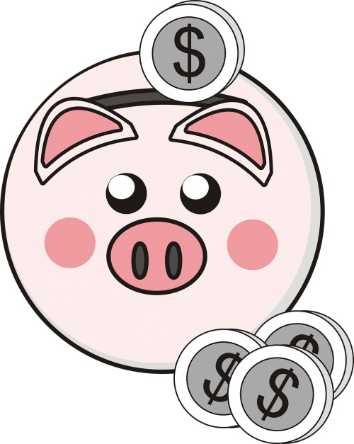 piggy bank little pig coins