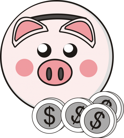 piggy bank little pig coins