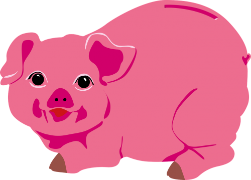 piggy bank money pig