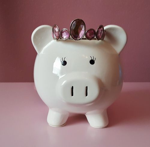 piggy bank pig piggy