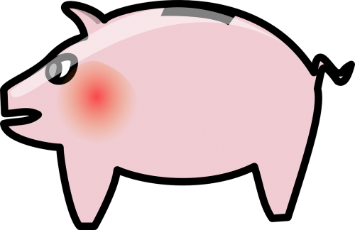 piggy bank savings pink