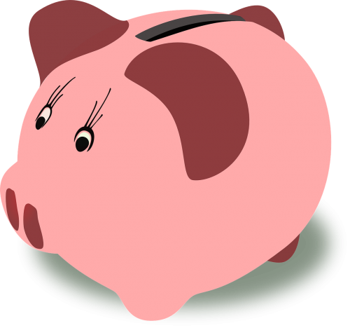 piggy bank pink isolated