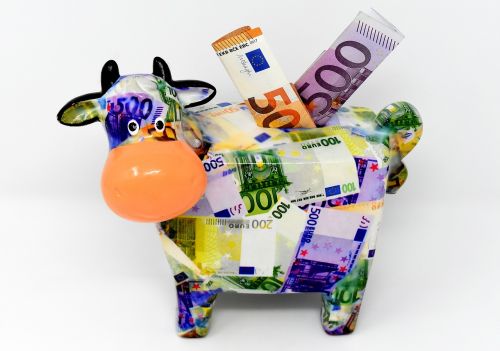 piggy bank money cow
