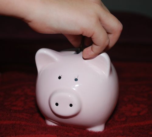 piggy bank pig savings