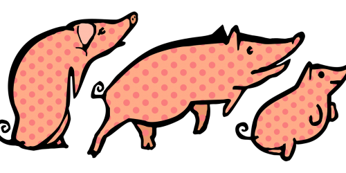 pigs polka dots animals