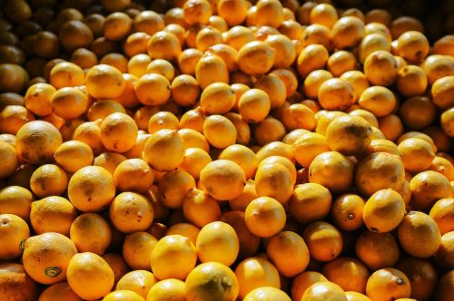 pile fruit oranges