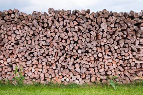 pile of wood  wood  log