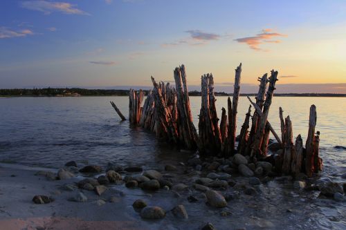 pilings dock water