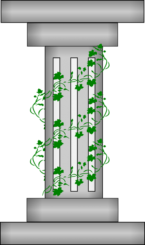 pillar column vine